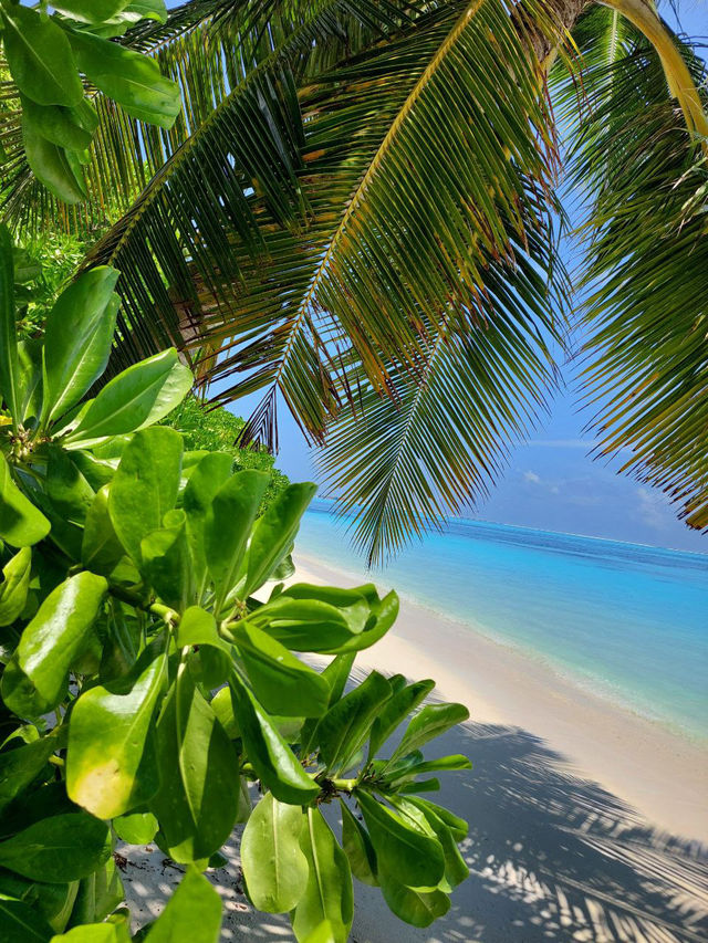 Maldives 🇲🇻 — Where Beauty Meets Opportunity Maldives 🇲🇻 — Where Beauty Meets Opportunity