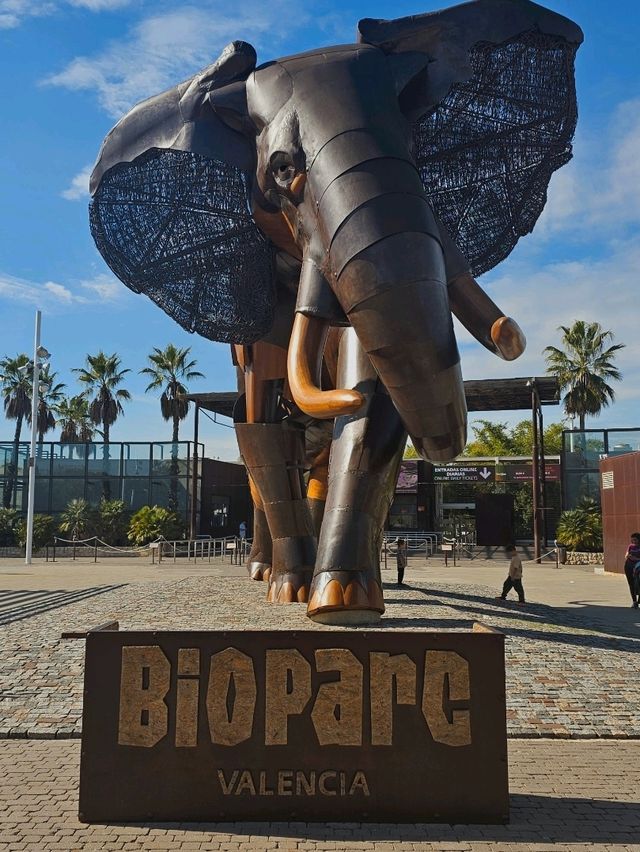 Exploring Bioparc Valencia: A Perfect Visit in Winter and Beyond