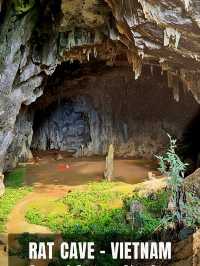 Discover Vietnam's Mysterious Rat Cave