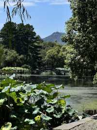 Hangzhou in One Day: What I Wish I Knew Before Going