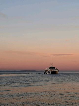 Zadar Christmas Magic🎄