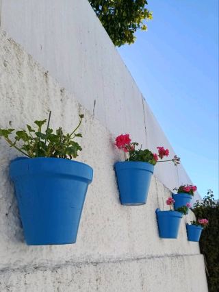 春のマルベーリャの魅力