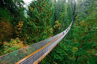 🌉 Capilano Bridge – a walk over the abyss among ancient forests
