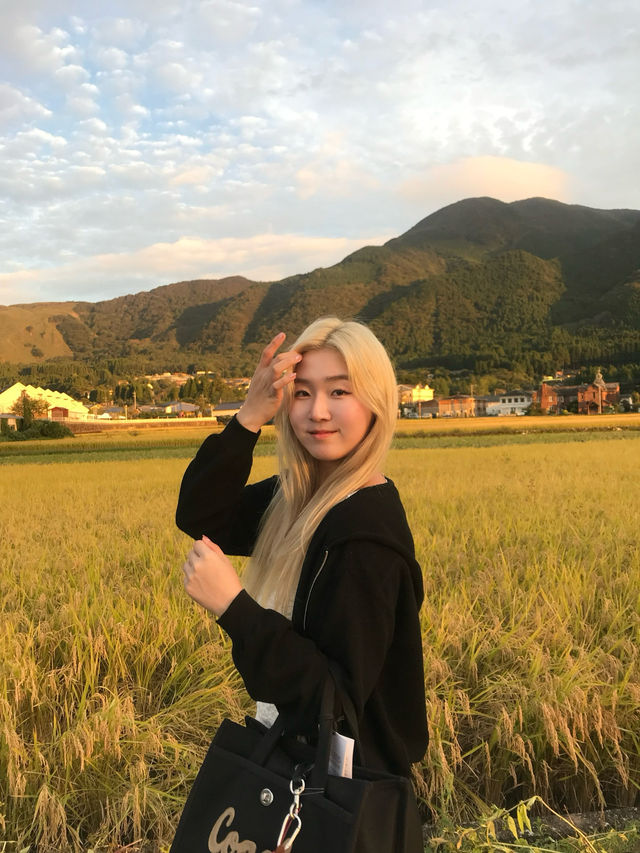 🇯🇵 첫일본 여행 어디 갈지 고민이라면? 후쿠오카가 진짜 가성비 좋은 이유✈️