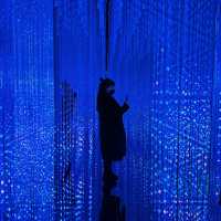 teamLab Museum of Art- Show of Light 💥💥💥
