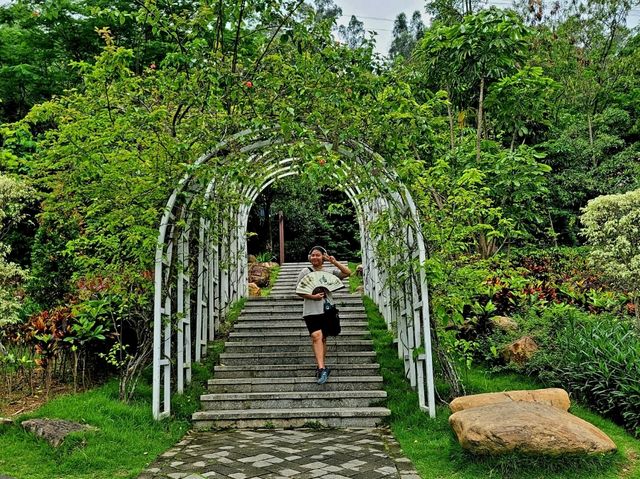 Hilltop Haven in Bao'an 🌳🌸🏞️