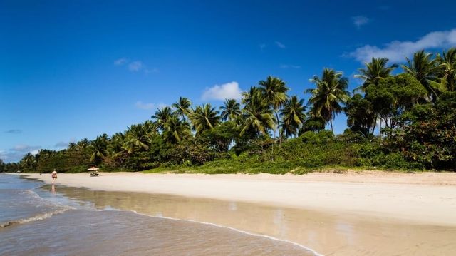 Havelock Island Travel Guide and Best Resorts