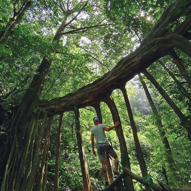 Costa Rica 💚