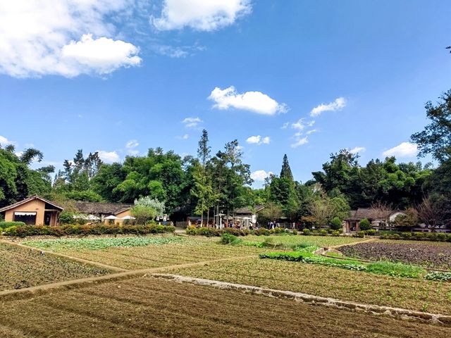 崇州道明竹藝村，青山掩映、綠水環繞，一半竹林一半田……