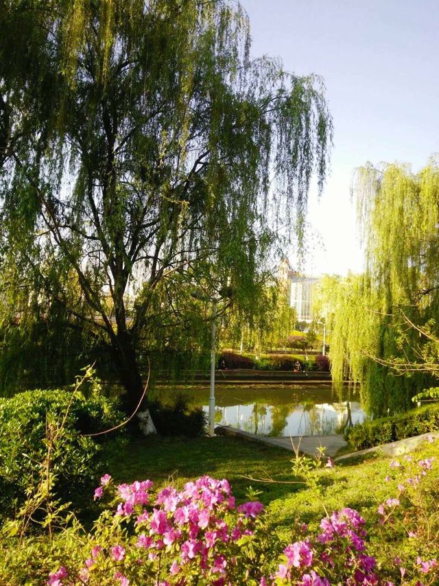 曲靖滨河公園——風景美如畫，散步遛娃好去處！