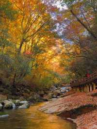 川東北旅行丨尋找四川秋日名片（十八月潭篇）