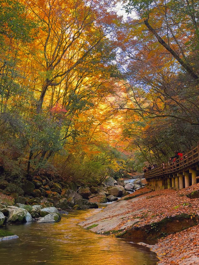 川東北旅行丨尋找四川秋日名片（十八月潭篇）