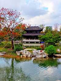 秋季遊申園，拍照絕佳時