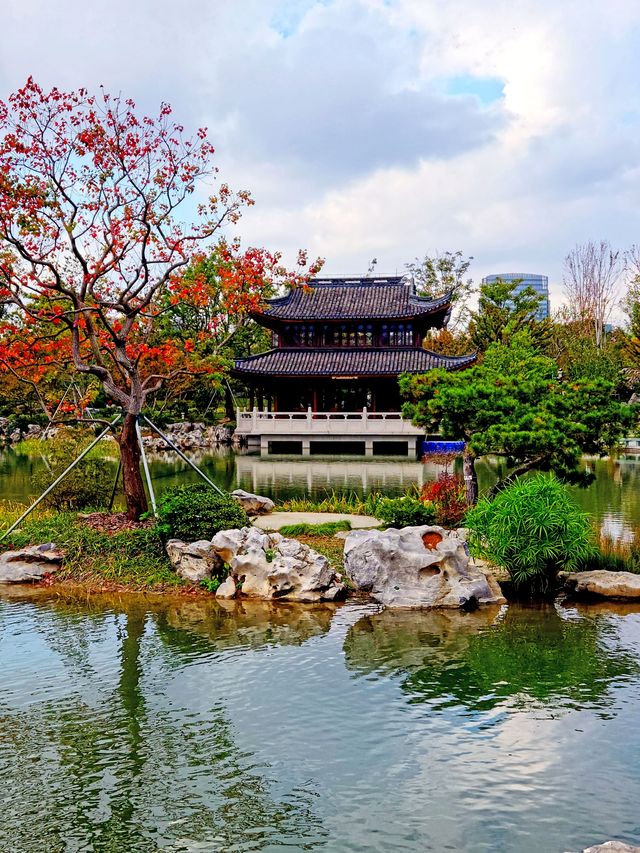 秋季遊申園，拍照絕佳時