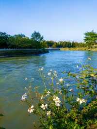 四川成都｜安靖蜀繡公園｜露營基地