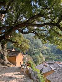 看山看水看古鄉，麗水三天旅遊攻略