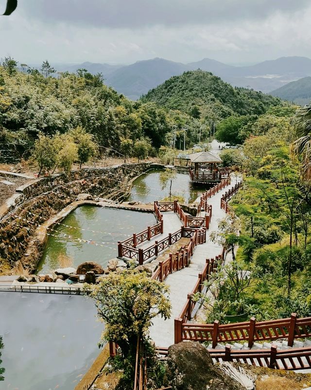 探秘海豐雲蓮寺：在花香中尋找心靈的慰藉