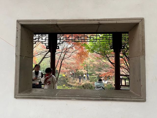 秋霞圃：一年之中，此時最紅！