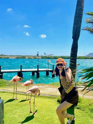 Escape winter! Aruba | Caribbean flamingo island