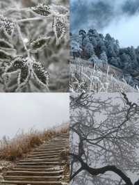 雲海日出|福建人有自己的武功山
