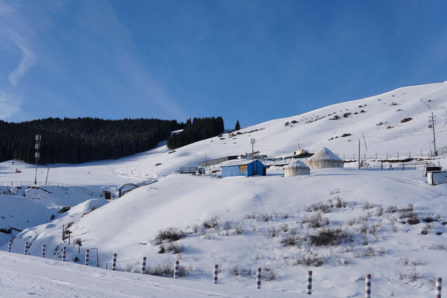 當南山遇上雪