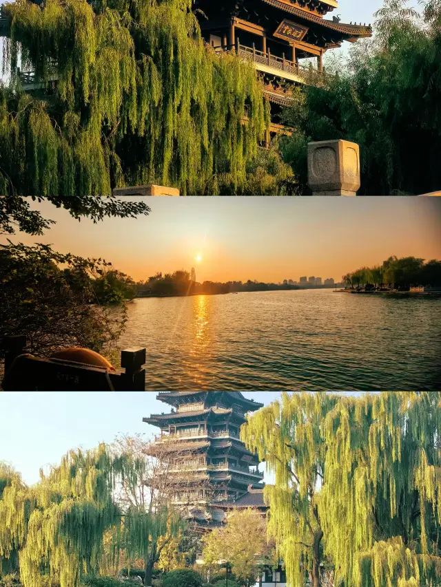 济南丨あなたは大明湖の夏の蓮を覚えていますか