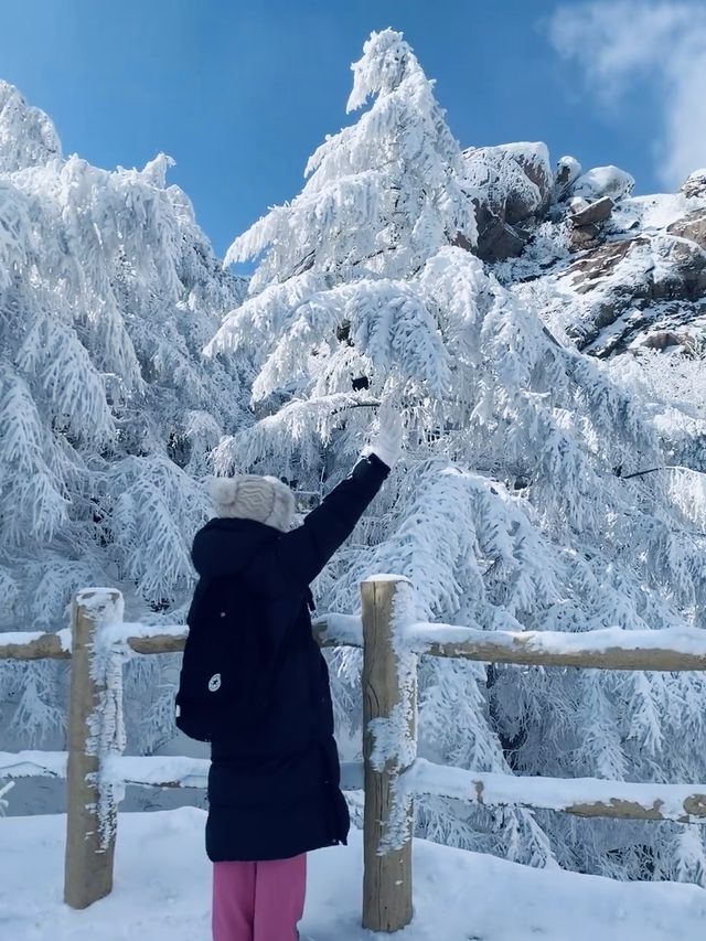 巨峰霧凇