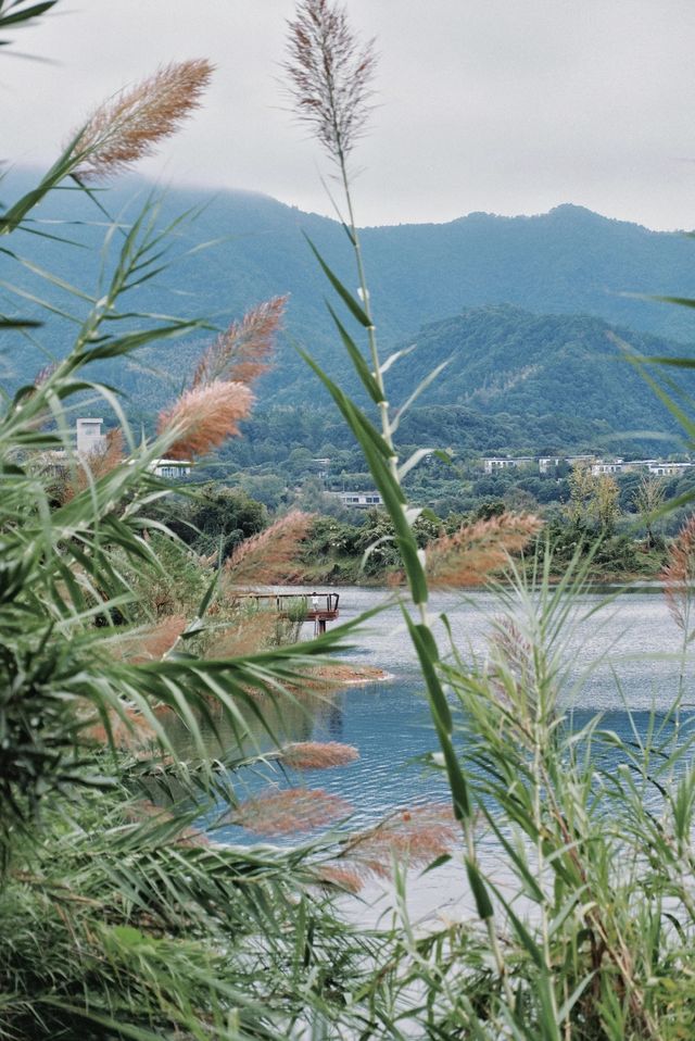 千島湖的遊玩攻略