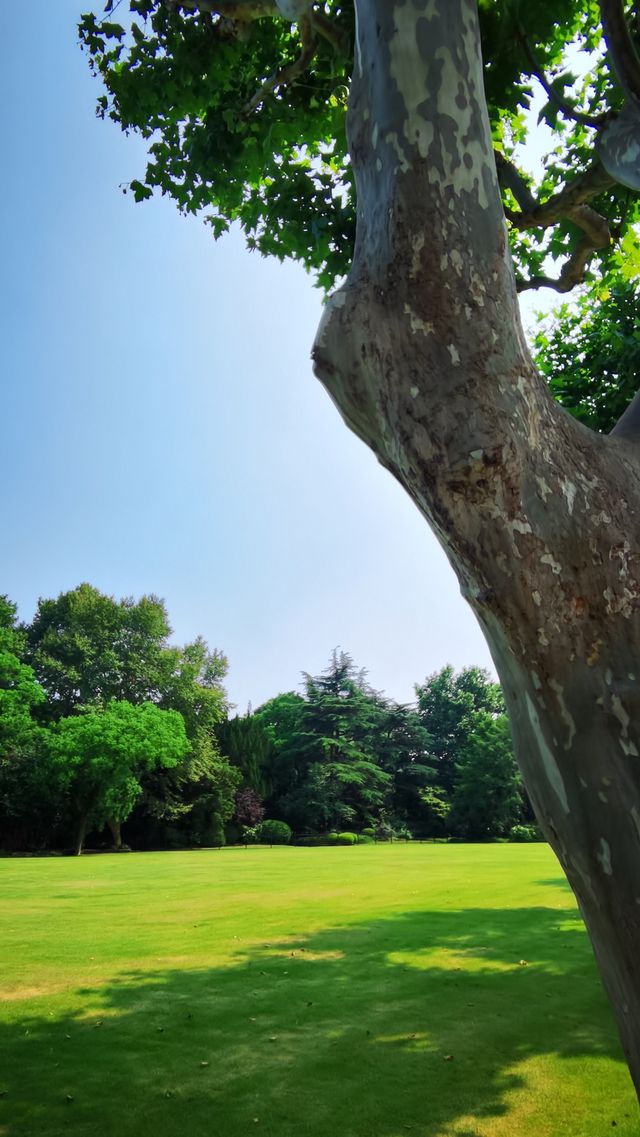 “滬東小西湖”——楊浦公園