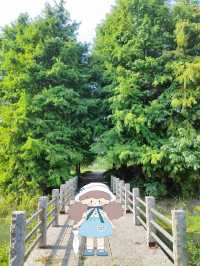江蘇‖無錫˙尚賢河濕地公園周末休閒好去處