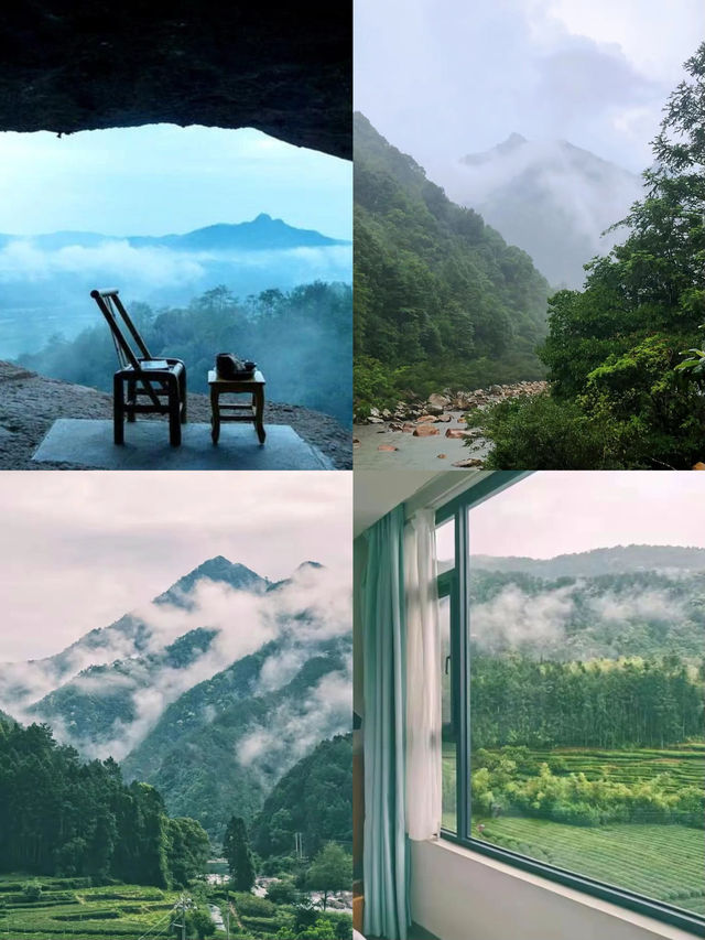 茶山雲海慢生活～森系武夷山