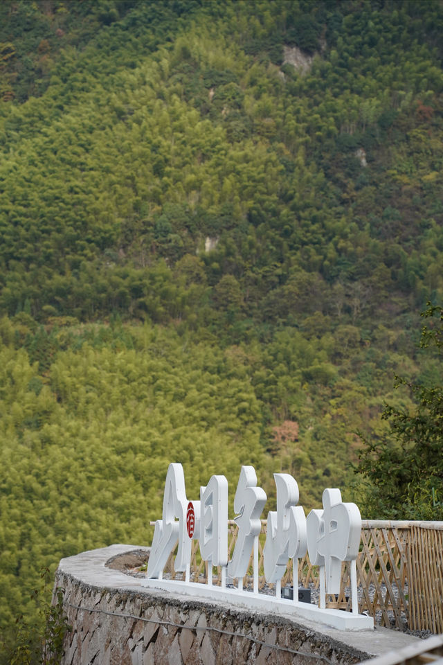 衢州日夕山中民宿｜在滿眼青山的時光裡得到治癒