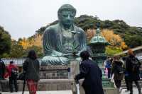 去日本不要錯過的神奇寺廟和神社