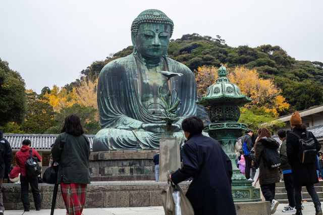 去日本不要錯過的神奇寺廟和神社