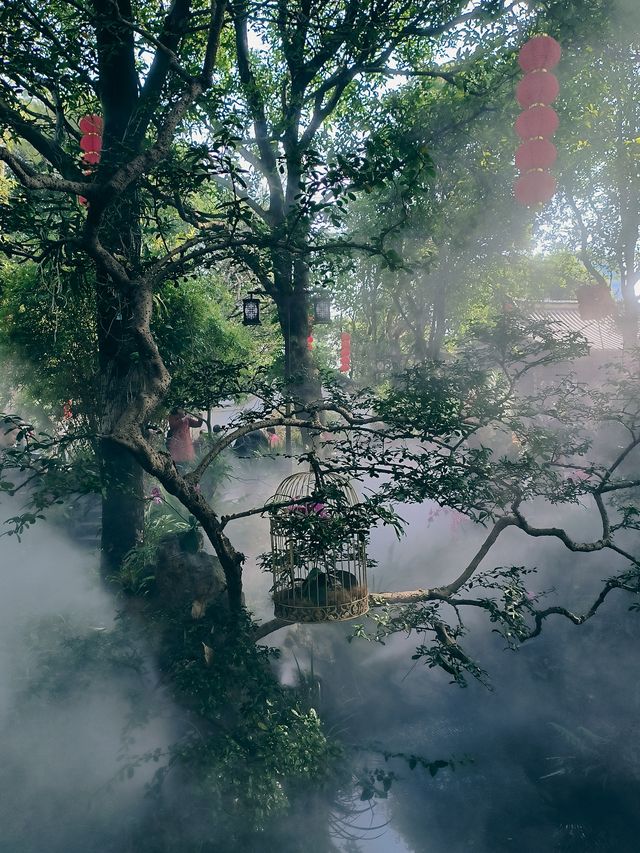 春節去了趟於山蘭花展，以為到了仙境