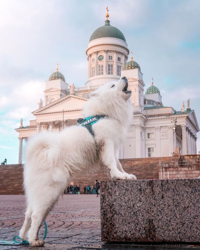 Felix in Finland 🇫🇮✨ Which photo is your favorite? ❤️