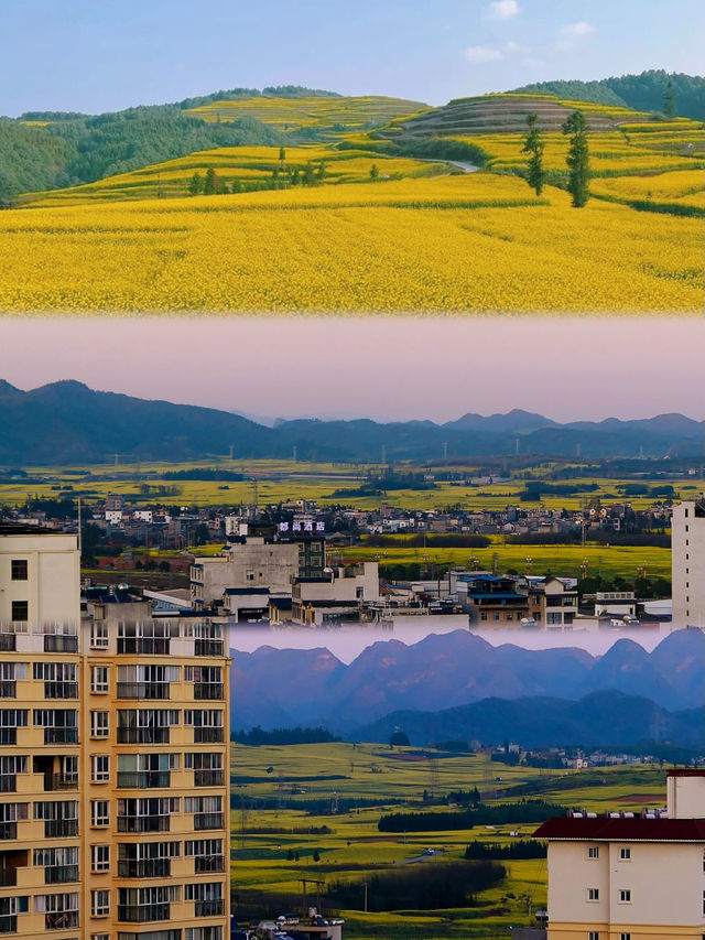 羅平油菜花看完了最漂亮的是這裡