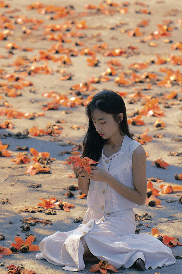 昌江下了一場木棉花雨，來到了沒有人的「海」