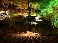 打卡京都寶嚴院