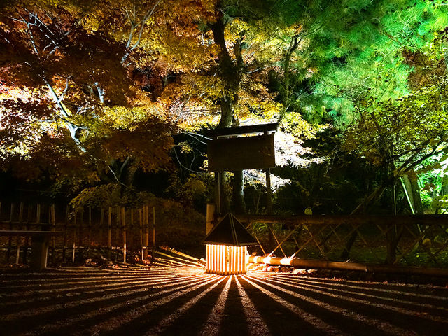 打卡京都寶嚴院