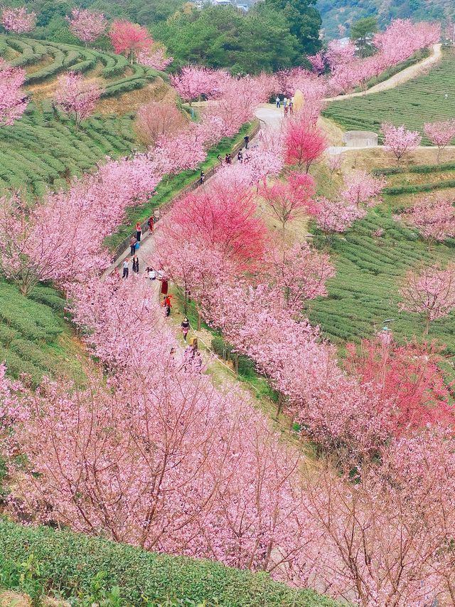 發朋友圈，沒人發現是在廣東
