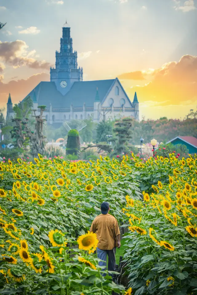 Reverse travel during Qingming Festival, why not take a road trip to Yancheng with a friend?