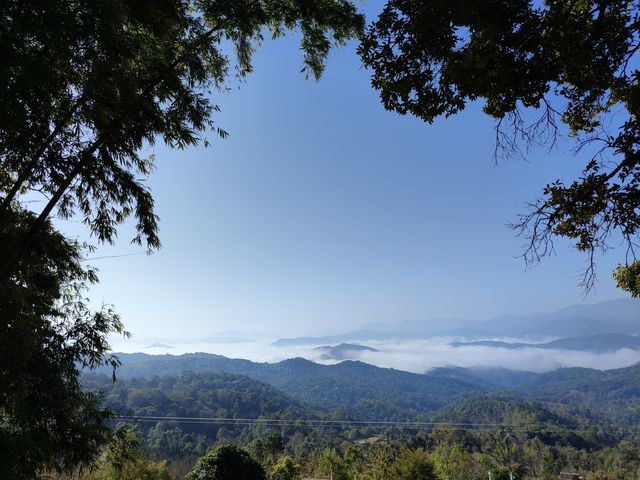 終於來到了隱秘的景邁山，免費世界非遺景點!