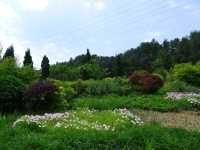 森林休閒勝地——貴陽登高雲山森林公園