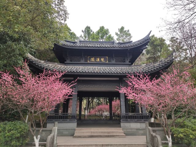 吃完早餐後，來金華婺州公園溜達一圈