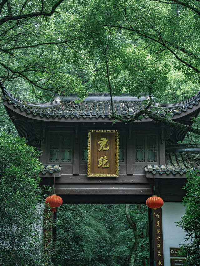 雨中的虎跑公園更像是杭州版的亞馬遜熱帶雨林