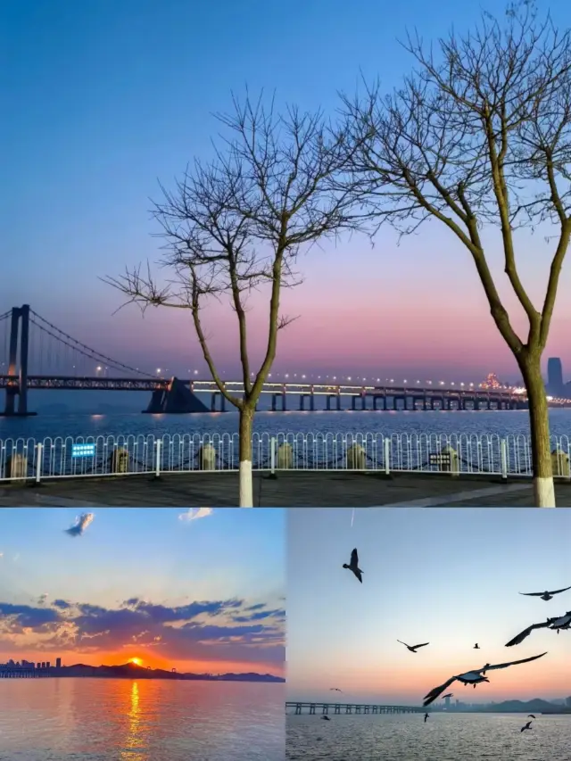 Dalian | It's so beautiful that it's like the foreign cultural and tourism bureau is promoting it