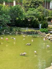 澳門公園｜誰想到免費公園裡還有博物館和動物園