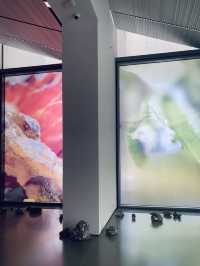 在青島,這裡的展真的每次都有的拍