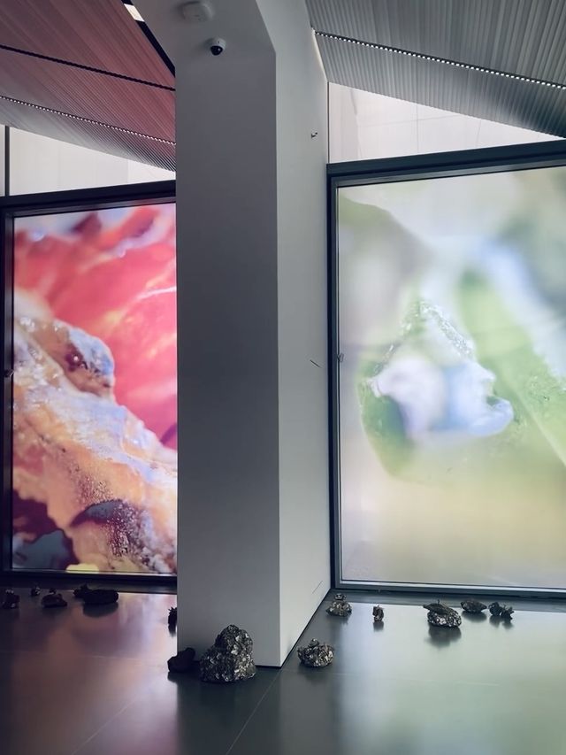 在青島,這裡的展真的每次都有的拍 在青島,這裡的展真的每次都有的拍